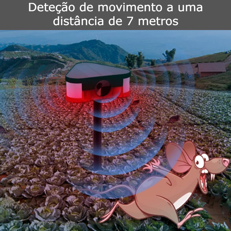 Imagem do produto 6