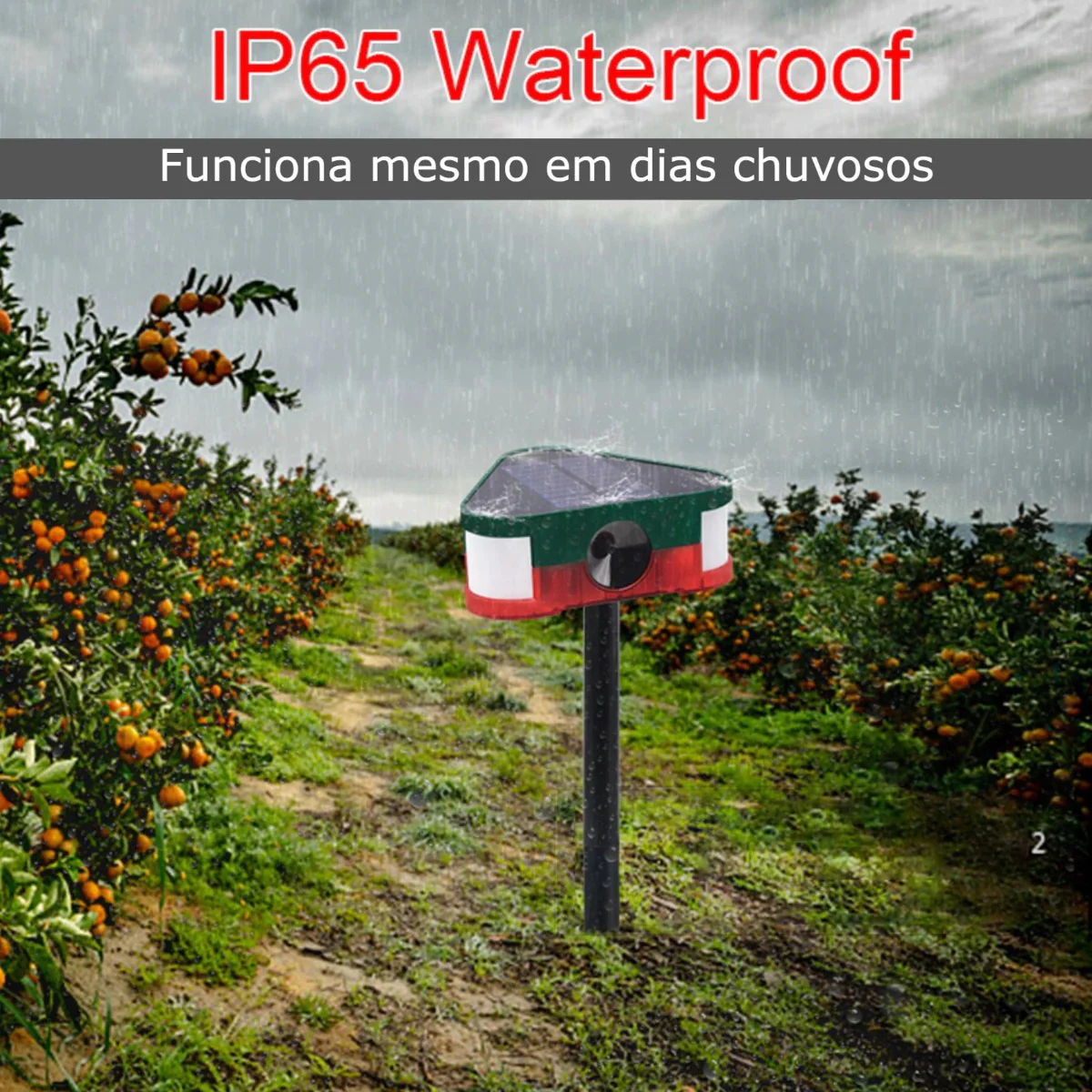 Imagem do produto 7