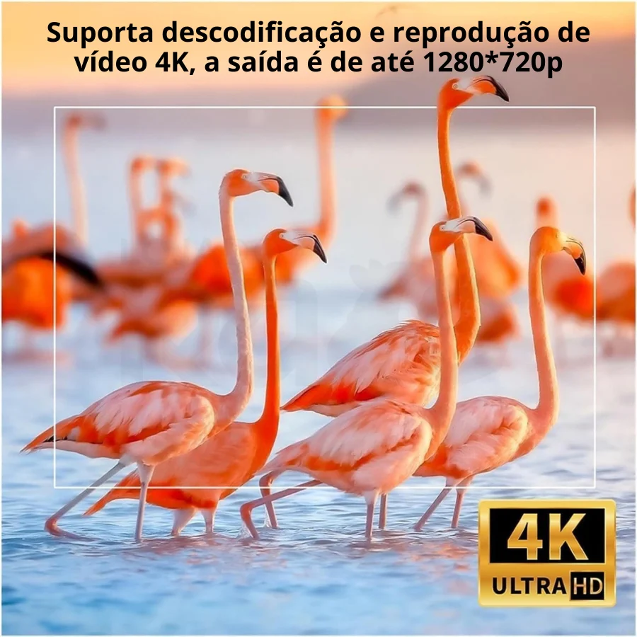 Imagem do produto 5