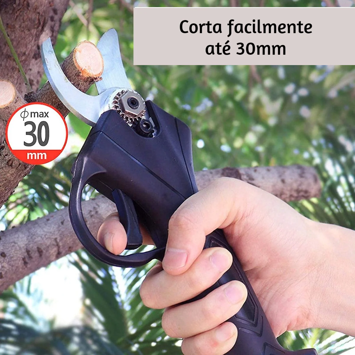 Imagem do produto 6